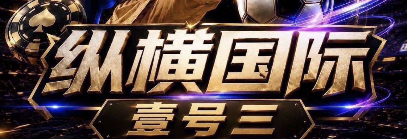 纵横国际